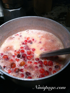 simmering cranberries